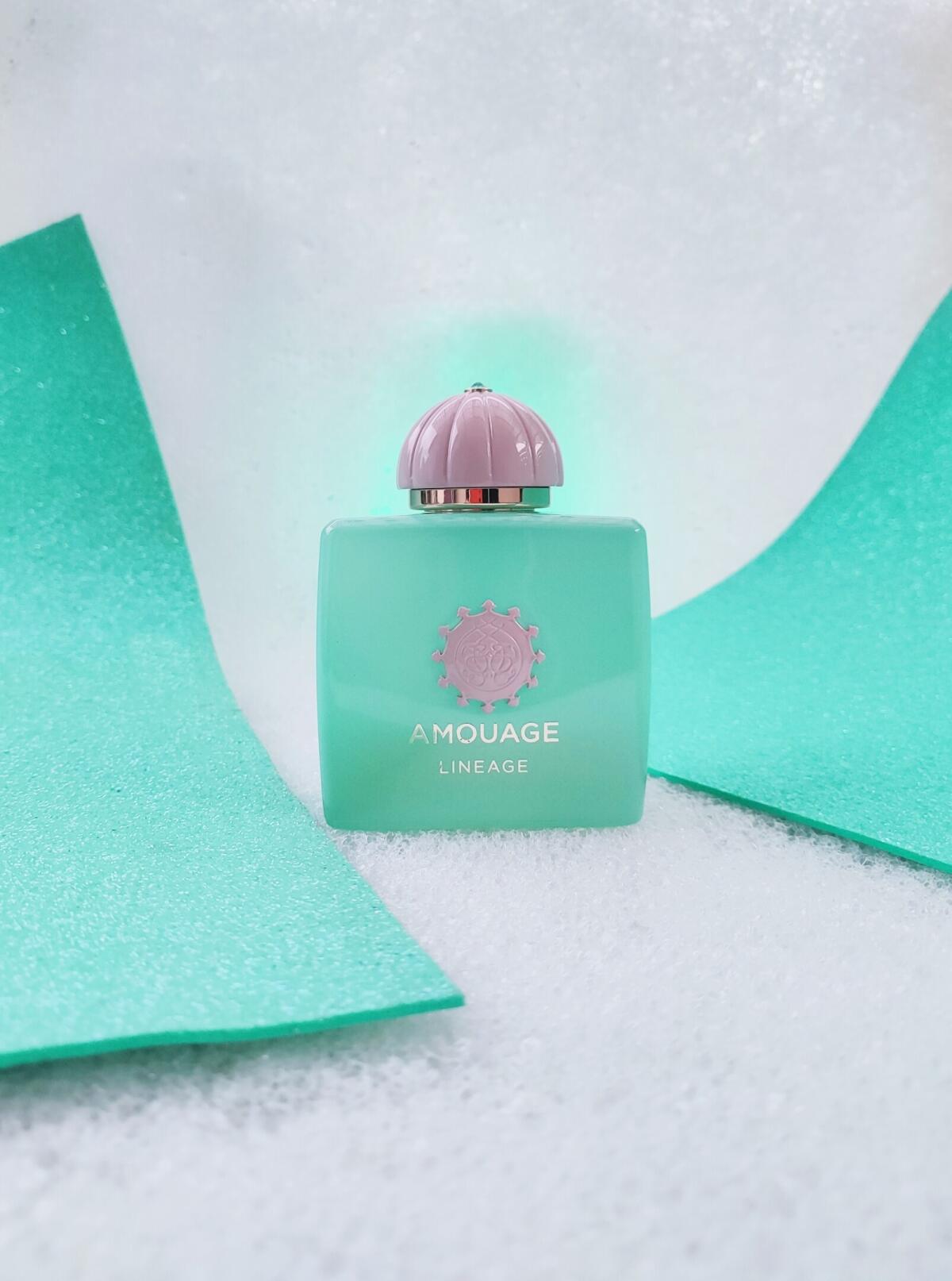 Amouage Guidance 46 Lineage Ou – Parfum Extrait Oil recenzja i cena